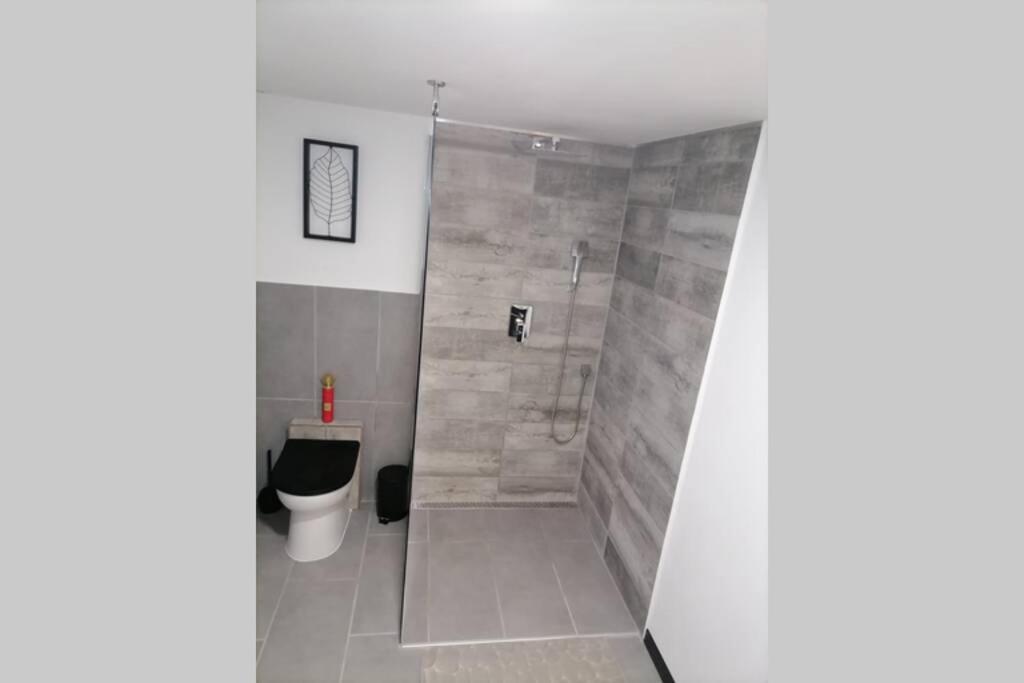 Maison 50 Nuances De Bresse Saint-Didier-en-Bresse Dış mekan fotoğraf